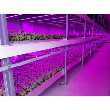 Лінійний світлодіодний світильник для рослин 9W 60см GrowLight