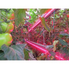 Лінійний світлодіодний світильник для рослин 9W 60см GrowLight