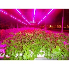Лінійний світлодіодний світильник для рослин 9W 60см GrowLight