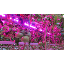 Лінійний світлодіодний світильник для рослин 9W 60см GrowLight